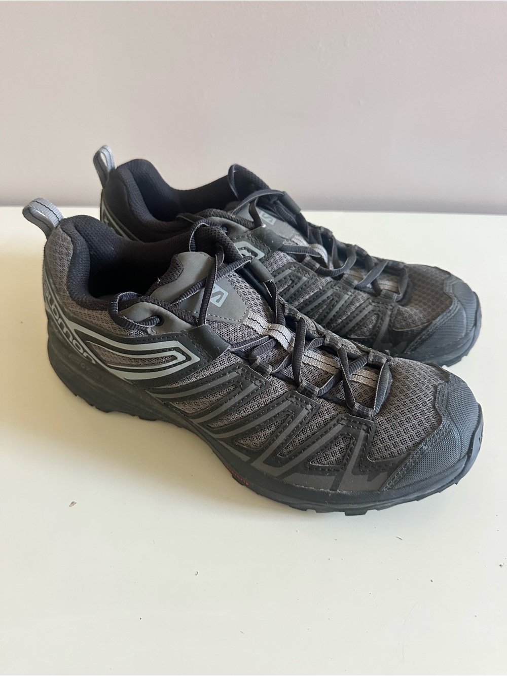 Salomon Men's X Crest GTX Hiking Shoes